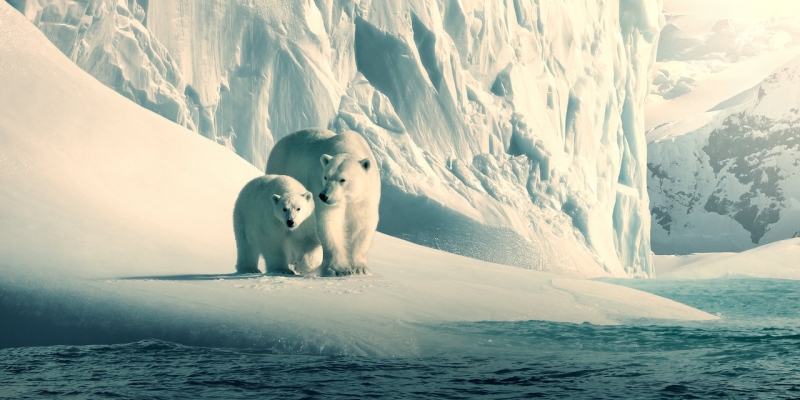 Netflix lança documentários para fins educacionais