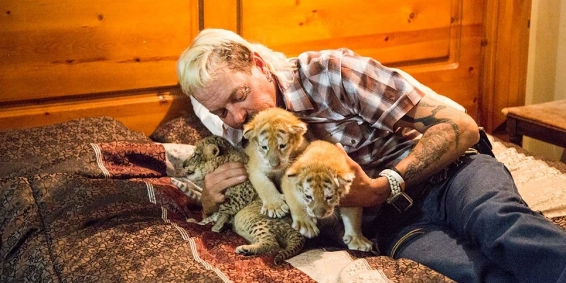 Tiger King, reabertura do zoológico e séries com Nicolas Cage